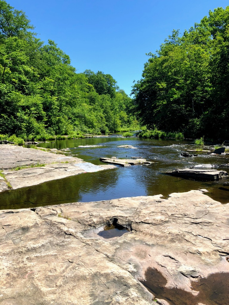 A view of the Salmon River from the top of Salmon River Falls in Oswego County, New York.