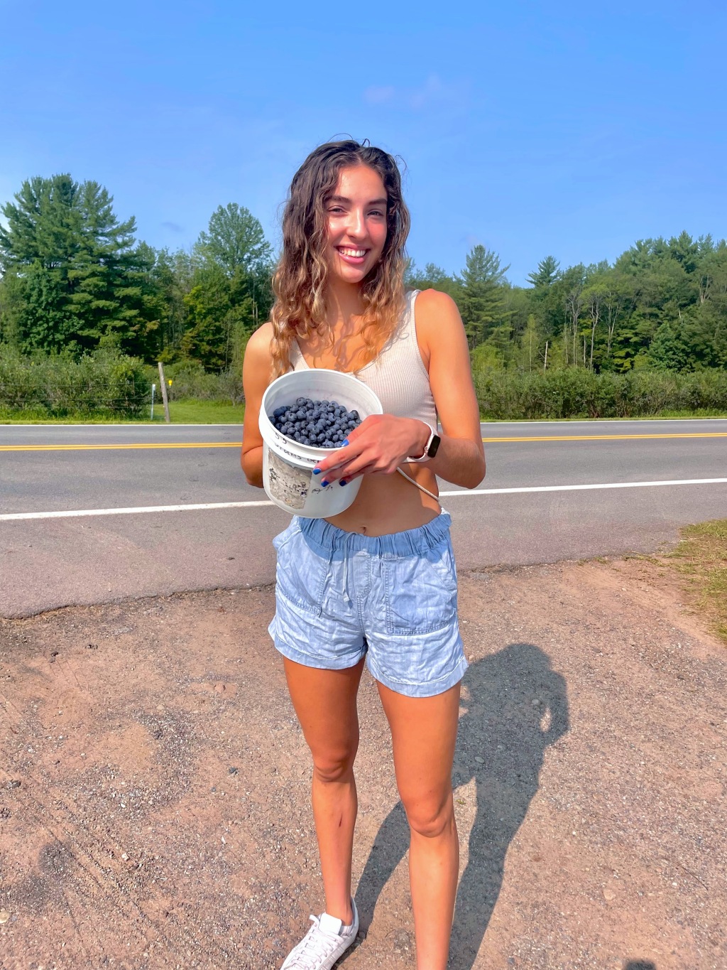 Blueberry Picking in Central New York